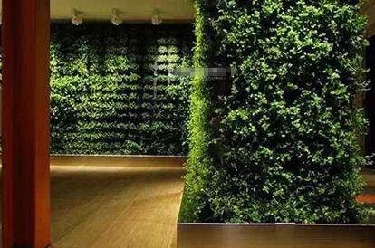 ���^�ܚgӭ�����N�k�����b�޸��