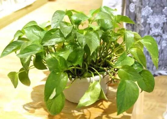 ���u�k�����bGֲ���x��