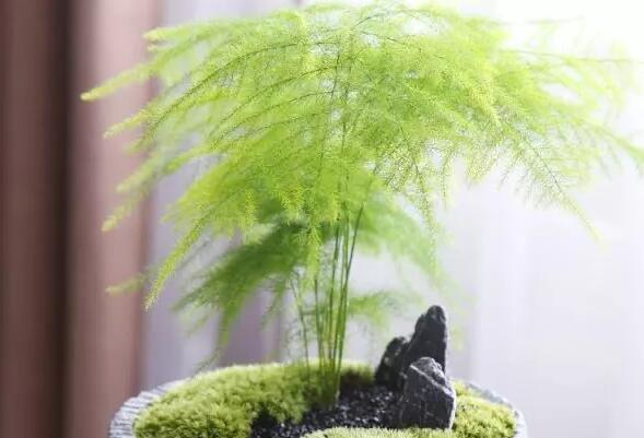 ���u�k�����bGֲ���x��