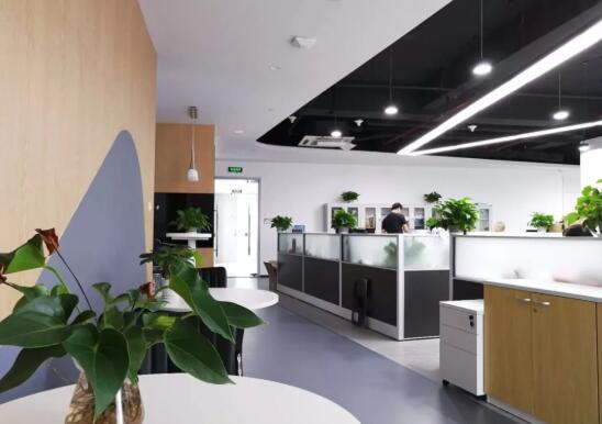 ���u�б��^(q��)��I(y��)������˾���W�L(f��ng)���k�����b��Ч���D